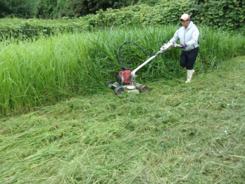 除草作業