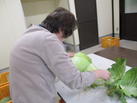 野菜の出荷調整